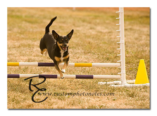 _RMC1536 copy