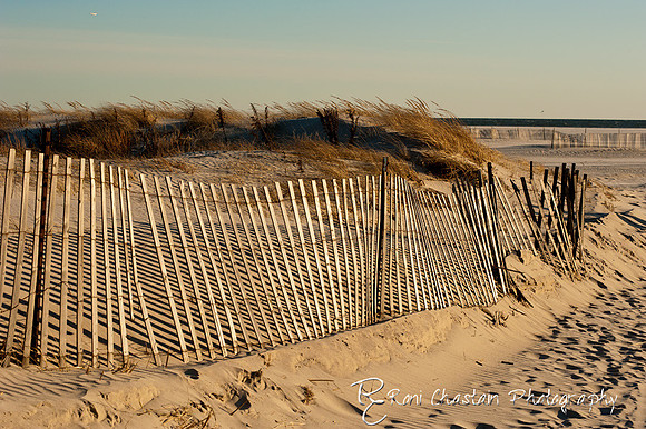 NickersonBeach_Jan292012_0021