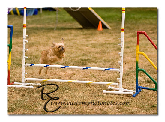 _RMC1819 copy