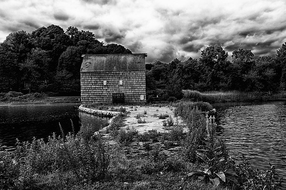 ColdSpringHarbor_Jul302012_0053 bw