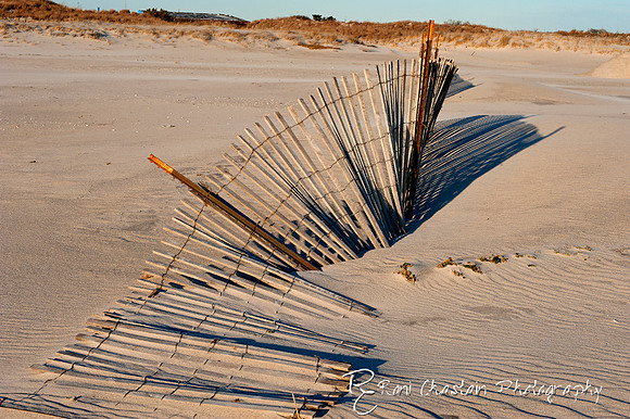NickersonBeach_Jan292012_0045
