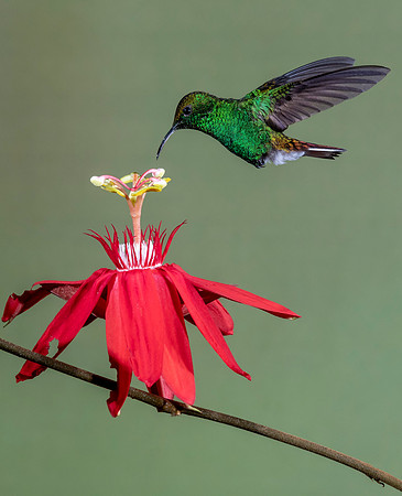 CostaRica_102018_0213