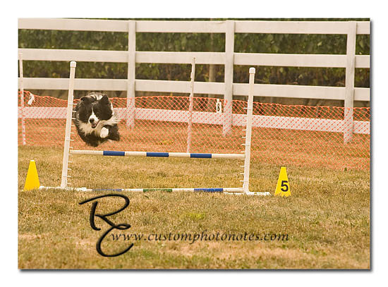 _RMC1444 copy