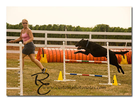 _RMC1464 copy