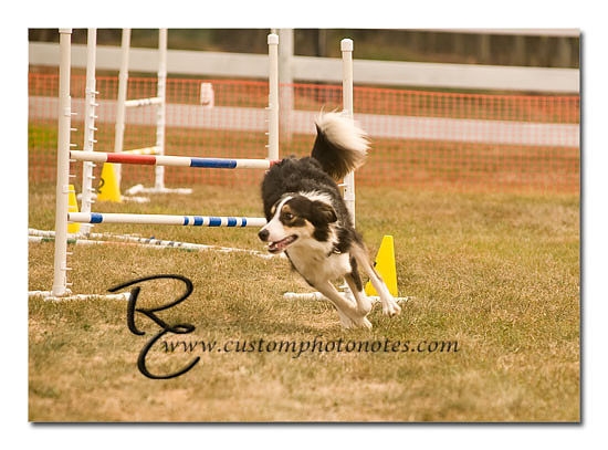 _RMC1572 copy