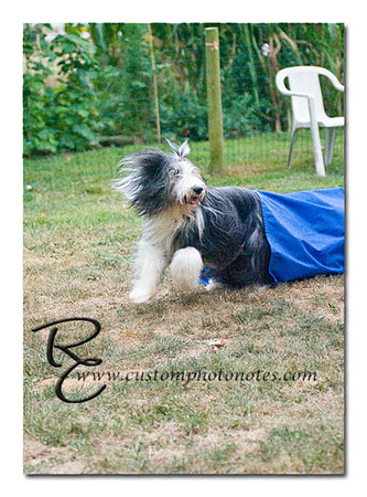 _RMC1926 copy
