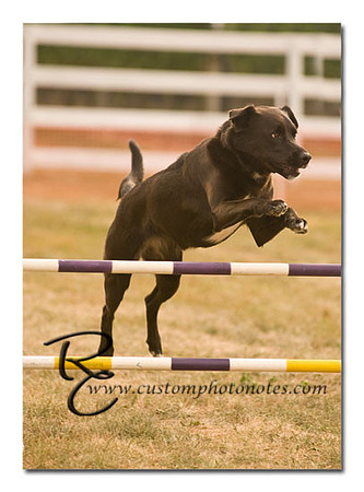 _RMC1581 copy
