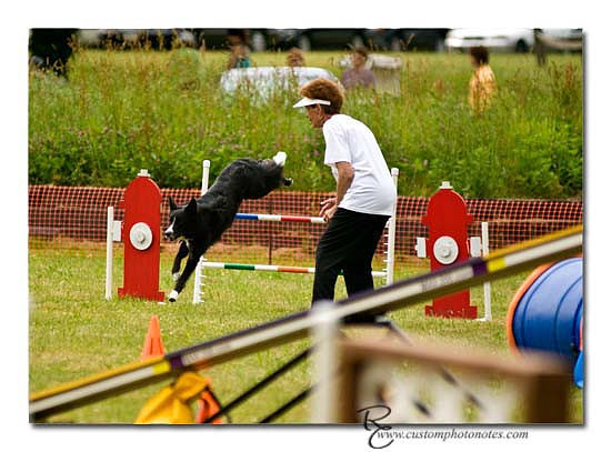 Dogs 6122010_3492 copy