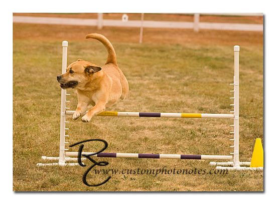 _RMC1607 copy