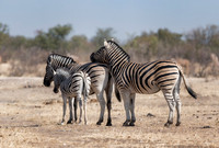 Namibia_060716_0261