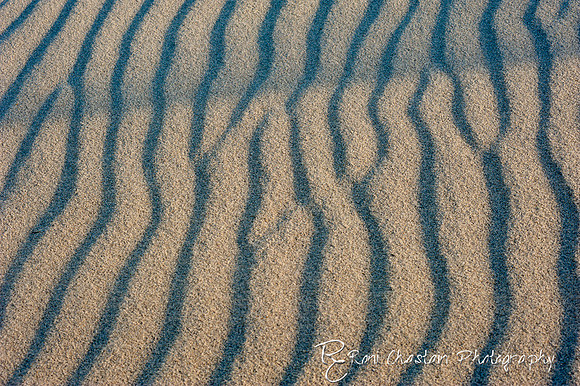 NickersonBeach_Jan292012_0031