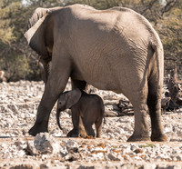 Namibia_061616_4264