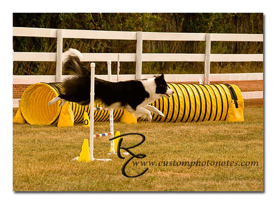 _RMC1451 copy