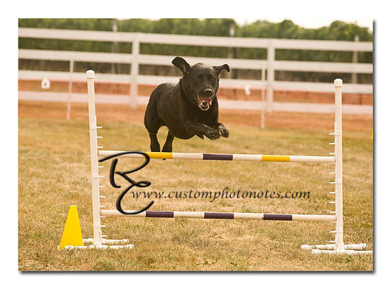 _RMC1466 copy