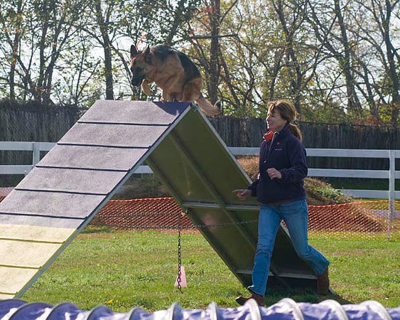 AllfurfunAgility 103010_0145