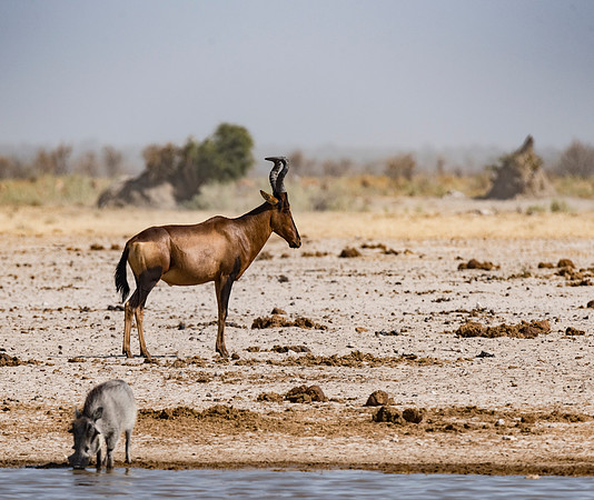 Namibia_060616_0566