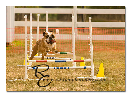 _RMC1542 copy