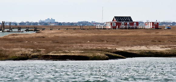 NickersonBeach_Jan292012_0011