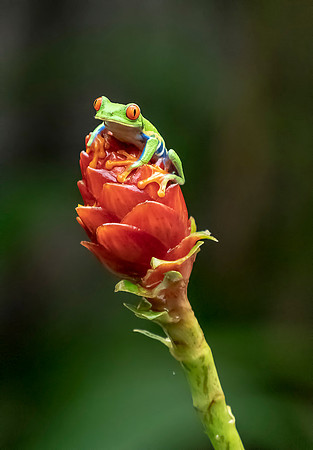 CostaRica_101918_0112