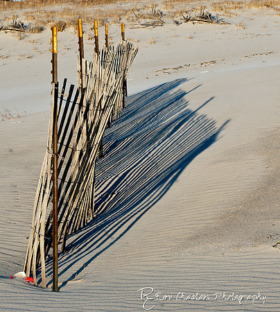 NickersonBeach_Jan292012_0023