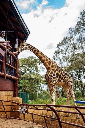 Kenya_Jul212019_3642