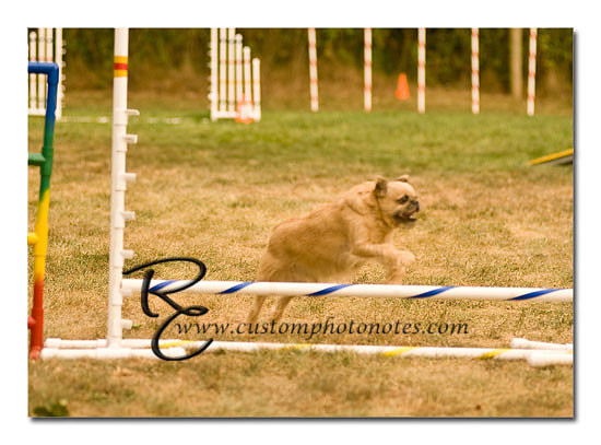 _RMC1641 copy