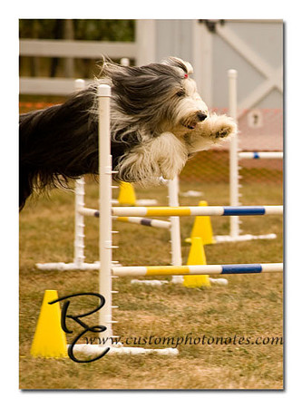 _RMC1515 copy