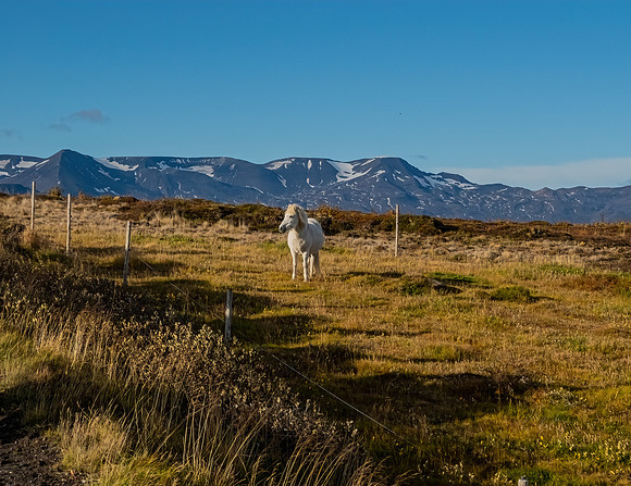 Iceland 2022_0259