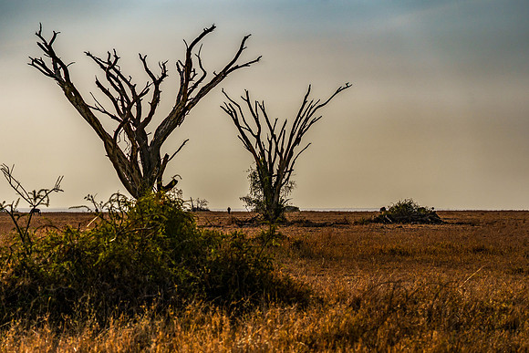 Kenya_Jul232019_2470