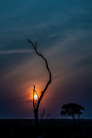 Kenya_Jul282019_4595