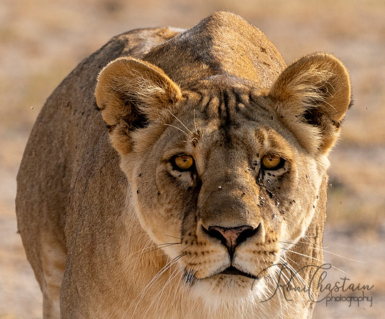Kenya_072319_1425a