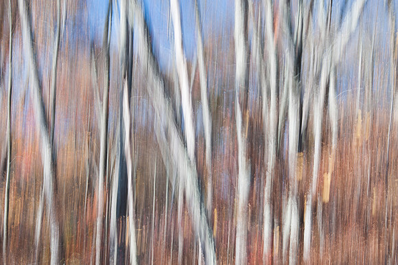 PEEC_Oct192013_0318