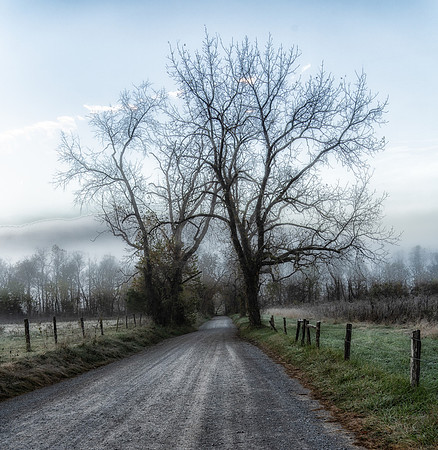 SmokyMountains_0096