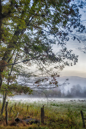 SmokyMountains_0092