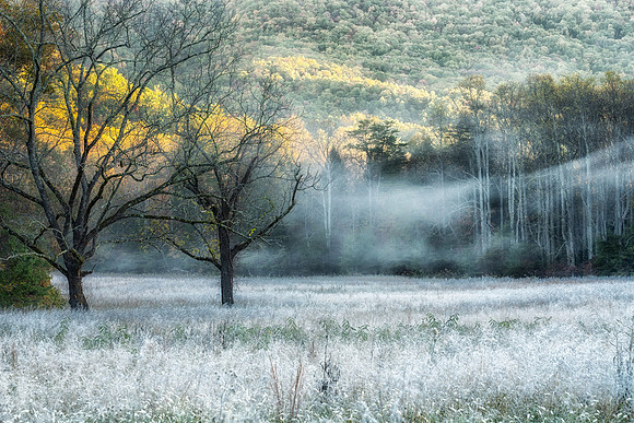 SmokyMountains_0148