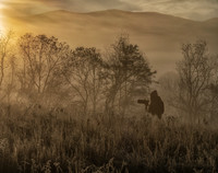 SmokyMountains_0165