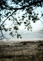SmokyMountains_0188