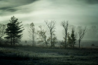 SmokyMountains_0209