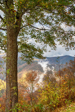 SmokyMountains_0530