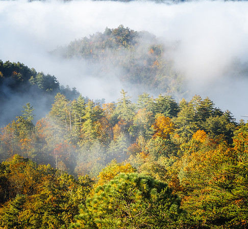 SmokyMountains_0857