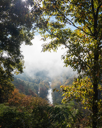 SmokyMountains_0871