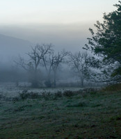 SmokyMountains_0093