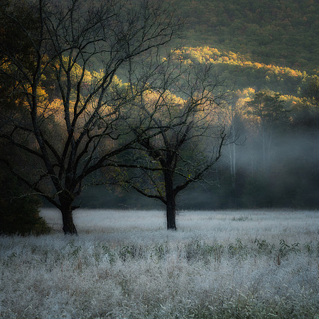 SmokyMountains_0145