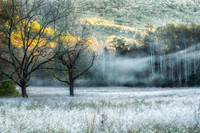 SmokyMountains_0148