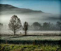 SmokyMountains_0199