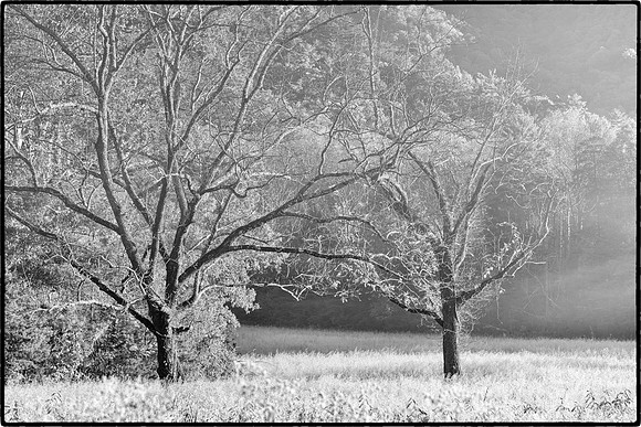 SmokyMountains_0175