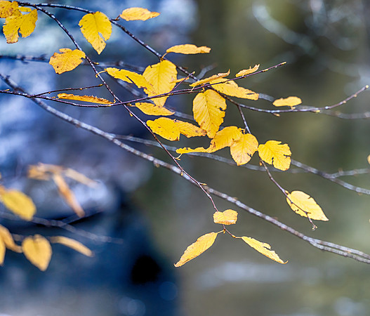 SmokyMountains_0404