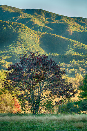 SmokyMountains_0361
