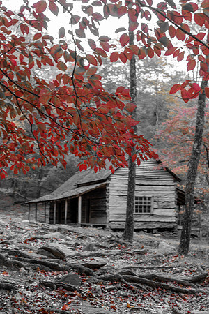 SmokyMountains_0544