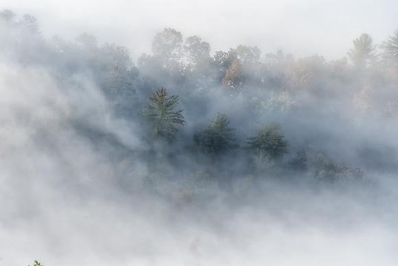 SmokyMountains_0841